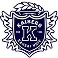 Kansai University
