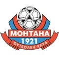 Escudo del Montana