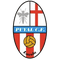 Escudo Puyal