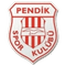Escudo Pendikspor Sub 19