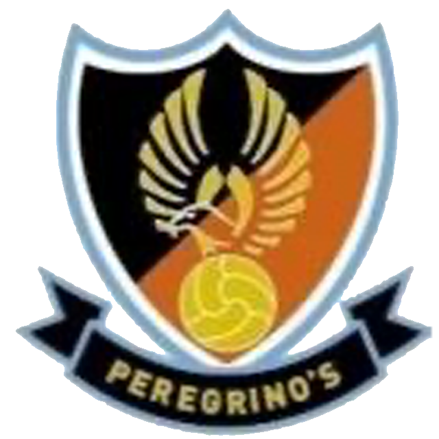 Peregrinos Futbol Club A A