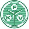 Escudo del Viborg U17