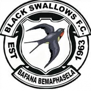 Black Swallows All The Info News And Results