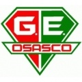 Grêmio Osasco Sub 20?size=60x&lossy=1