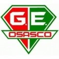 Escudo del Grêmio Osasco Sub 20