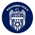 Halcones