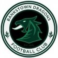 Escudo del Bankstown RSL Dragons