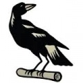 Nerimbera