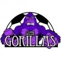 Escudo del Glebe Gorillas