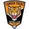 Escudo Camden Tigers