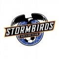 Escudo del Stormbirds