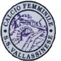 Escudo del Vallassinese
