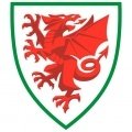 Escudo del Gales Sub 20