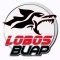 Escudo Lobos BUAP Sub 20