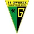 Escudo del Gwarek Tarnowskie Gory