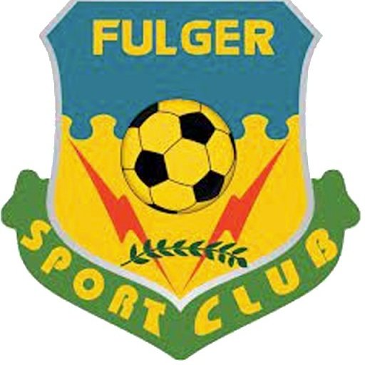 Escudo del Fulger