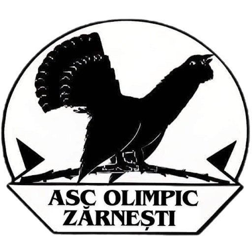 Escudo del Zărneşti