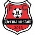 Escudo Hermannstadt II