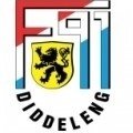 Escudo del F91 Dudelange Sub 19