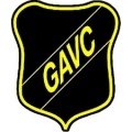 Escudo GAVC
