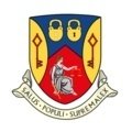 Escudo del Willenhall Town FC