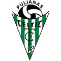 Escudo del Celtic Pulianas CF B