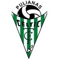 Escudo del Celtic Pulianas CF A