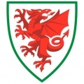 Escudo Gales Sub 18