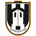 Sansepolcro Calcio?size=60x&lossy=1