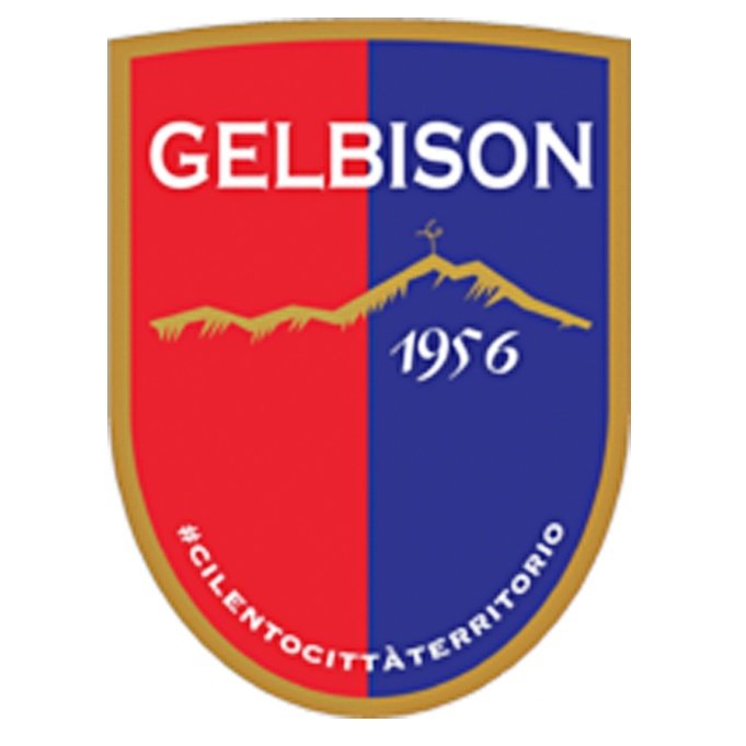 Escudo del Gelbison