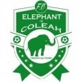Escudo del Eléphant Coléah