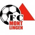 Escudo del Montlingen