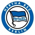 Escudo Hoffenheim Sub 17