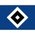 Hamburger SV Sub 17