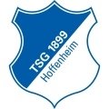 Escudo del Hoffenheim Sub 17