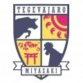 Escudo del Tegevajaro Miyazaki