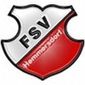 Escudo del FSV Hemmersdorf