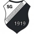 Escudo del SG 1919 Limburgerhof