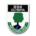 Escudo del BSK Neugablonz