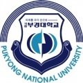Escudo del Pukyeong National