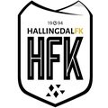 Escudo del Hallingdal FK
