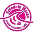Escudo del Coledale Waves