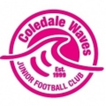 Coledale Waves
