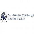 Mt Annan Mustangs