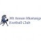 Mt Annan Mustangs