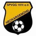 Escudo del SpVgg Neckargemünd