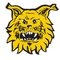 Ilves U19
