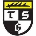 Escudo del TSG Balingen Sub 19