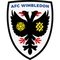 AFC Wimbledon Sub 18