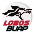 Escudo del Lobos